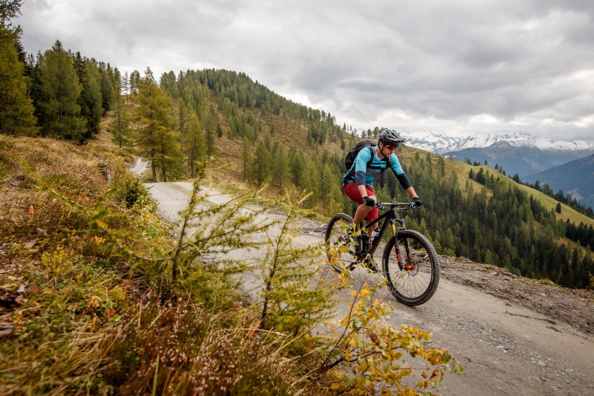 Erlenhof Appartements