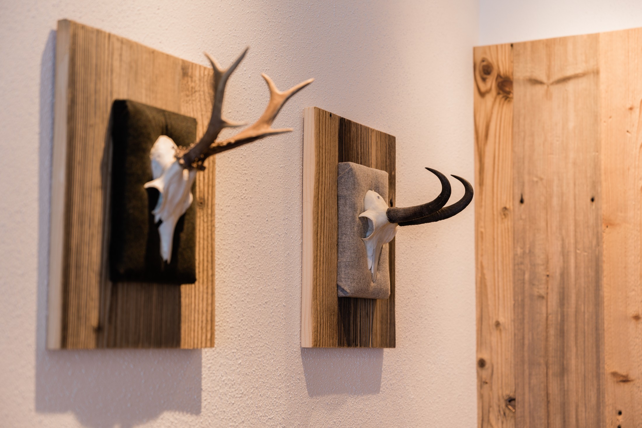 Erlenhof Appartements